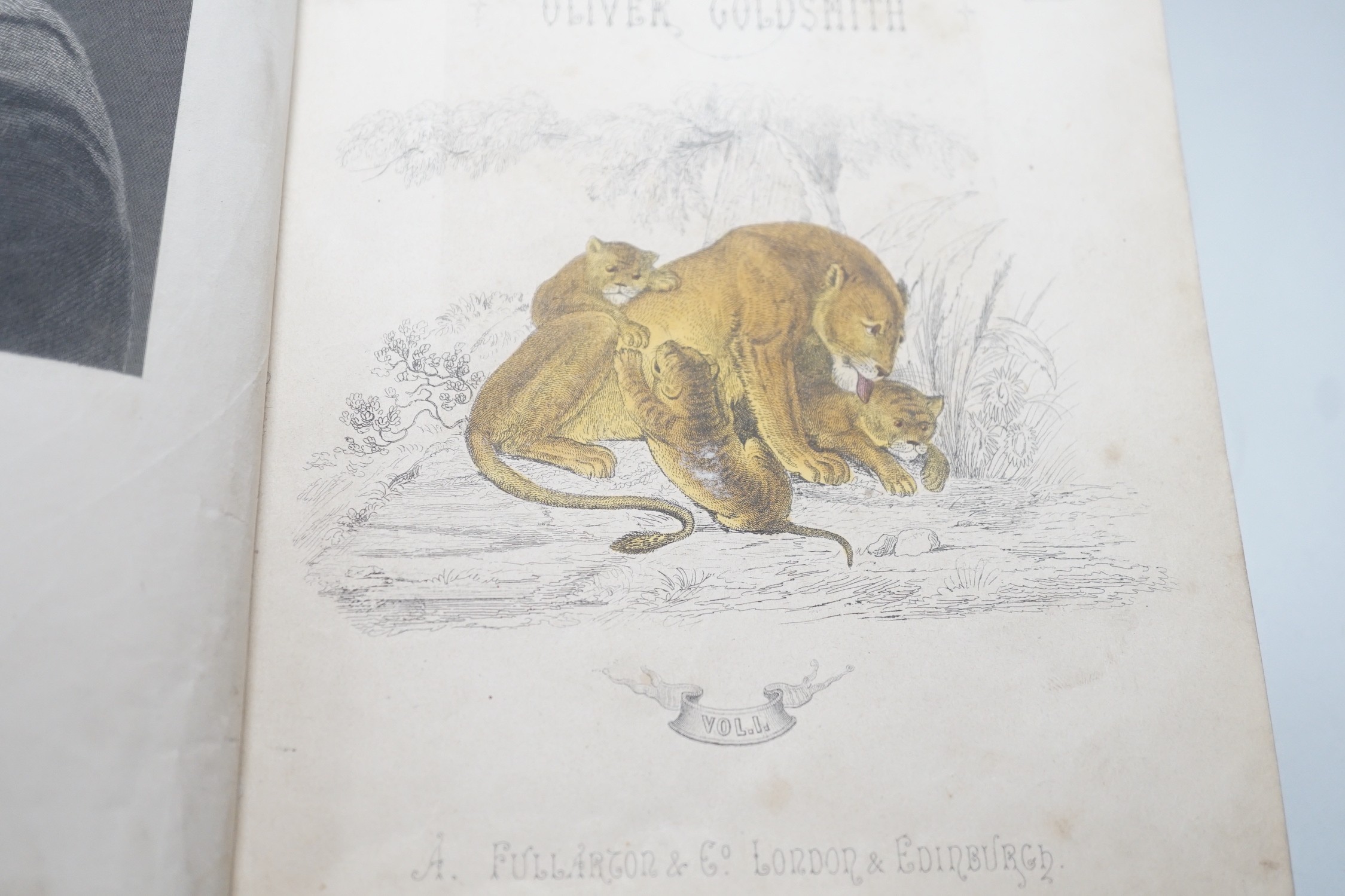 A History of The Earth and Animated Nature by Oliver Goldsmith, 2 vols